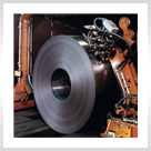 ����鿴��