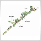 ����鿴��